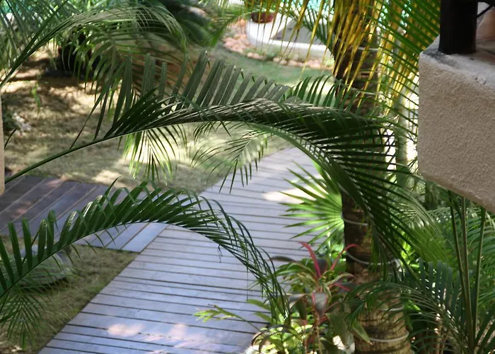 La Tortuga & - Adults Only Hotel