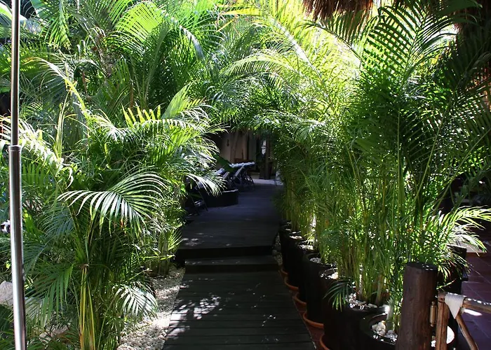 Hotel La Tortuga & - Adults Only 4*