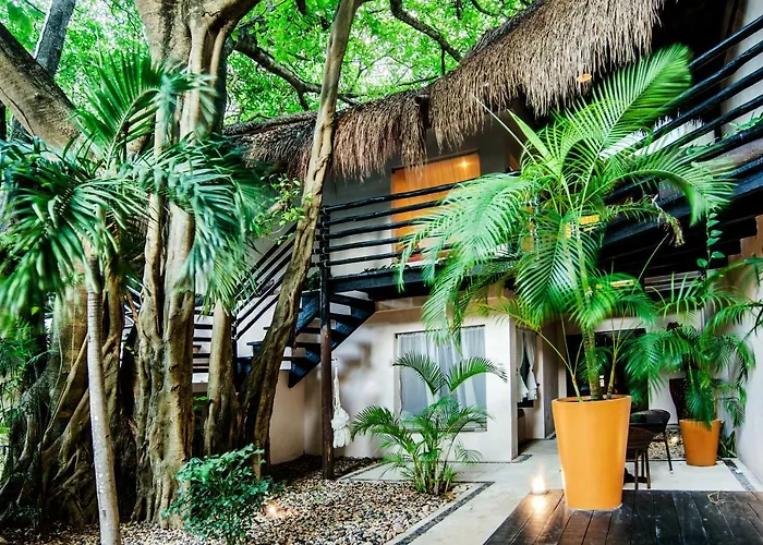 Hotel La Tortuga & - Adults Only Playa del Carmen
